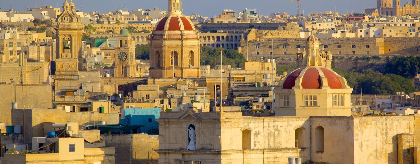 Ongoing Website Maintenance 1 Trinity DEV MALTA malta Performance Monitoring