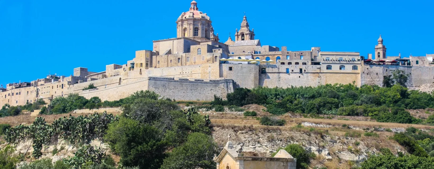 Cross-Browser Compatibility Testing