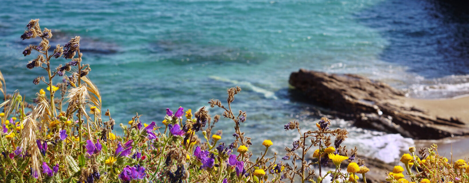 SEO Content Creation 1 Trinity DEV MALTA malta SEO Content Creation