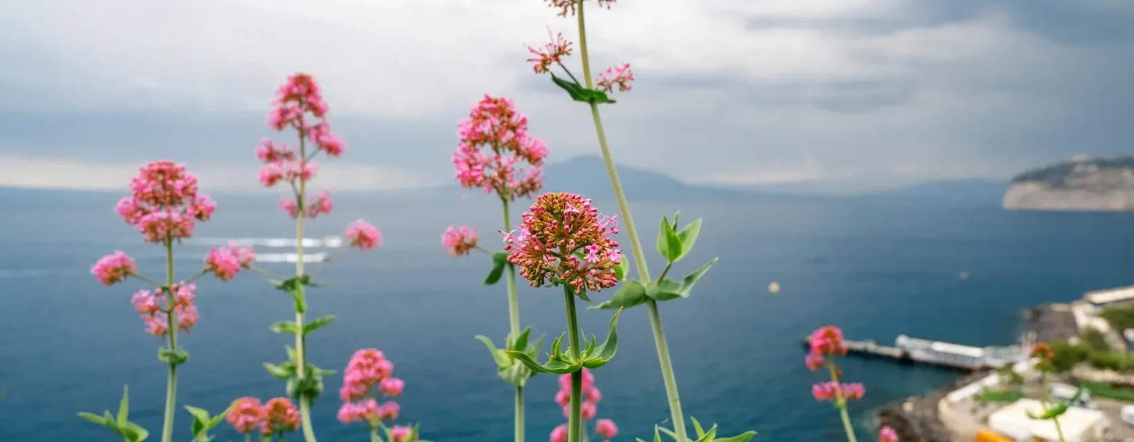 Website Audit 1 Trinity DEV MALTA malta Website Audits